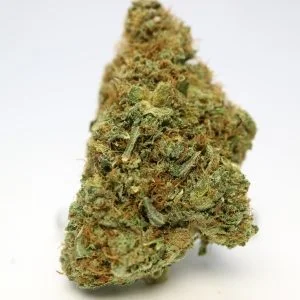 Purple Kush