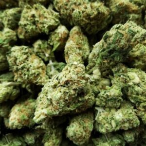 Hawaii-Skunk