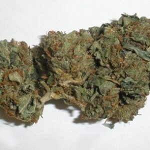 Hindu Kush Strain